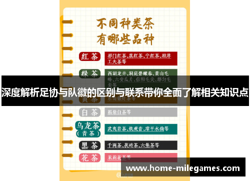 深度解析足协与队徽的区别与联系带你全面了解相关知识点